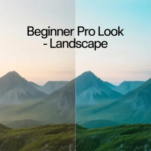lightroom landscape presets beginner