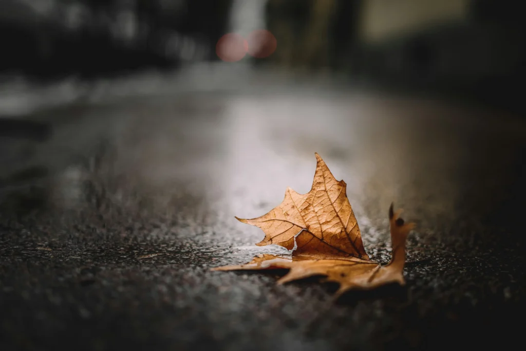 tommaso-pecchioli-4mPNlSZp9Wo-unsplash